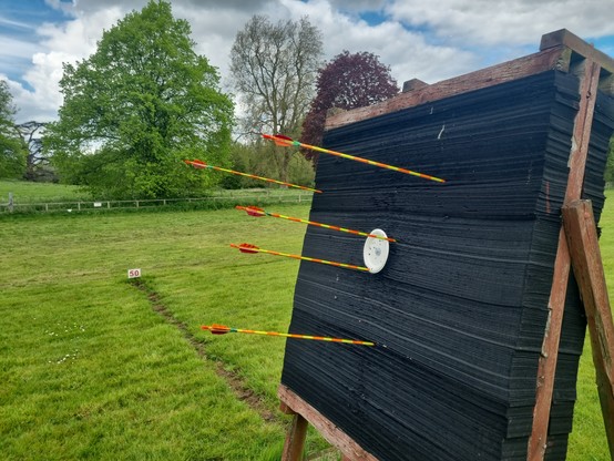 Some arrows in an archery boss. Two of them are on target
