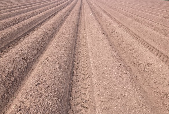 Ridges and furrows and tyre tracks in bare ploughed earth