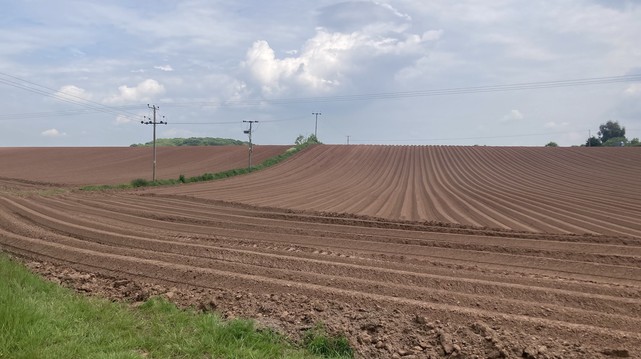 Bare hillside ploughed into ridges and furrows