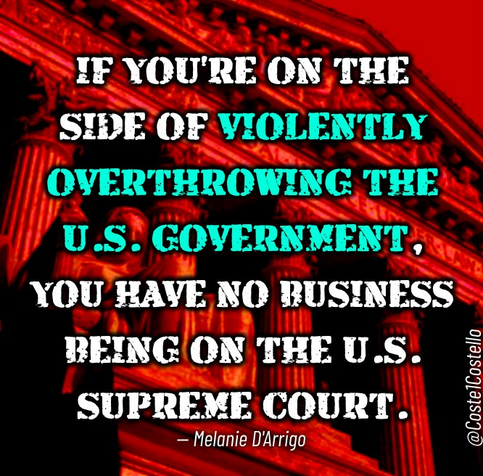 IF YOU'RE ON THE SIDE OF VIOLENTLY OVERTHROWING, THE U.S GOVERNMENT, YOU HAVE NO BUSINESS BEING ON THE SUPREME COURT.  Melanie D'Arrigo 
