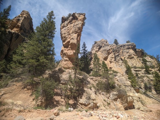 A desert tower standing at a Y intersection of two canyons.  A tall pine tree is next to the tower.  Smaller pines are scattered about on the canyon walls and the canyon floor.