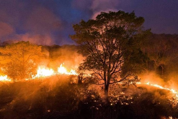 Wildfire burning in the Pantanal in 2020