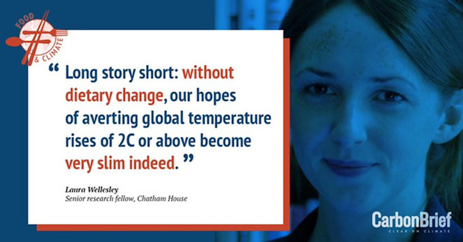 Photo of Laura Wellesley, senior research fellow at Chatham House, along with this quote - 