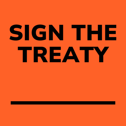 Schwarzer Text vor orangenem Hintergrund: Sign The Treaty
