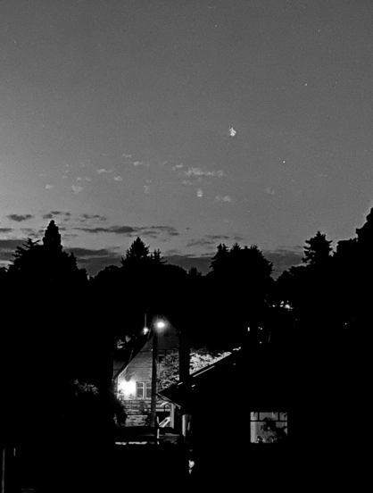 Black and white photo of a little after dusk of neighbourhood silhouettes of trees and sky. 