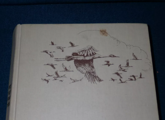 Pic of the top section of the book MY WAY WAS NORTH by Frank Dufresne.

Black and white drawing of a flock of sandhill cranes flying across the sky with a cloud in the background.