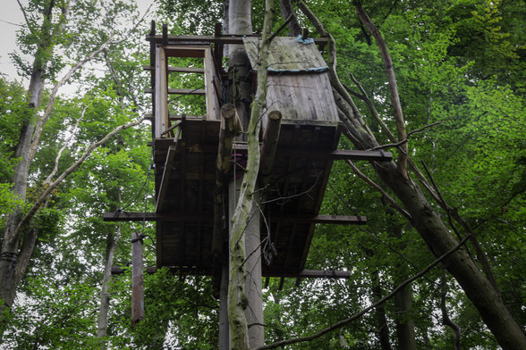 Ein verfallenes Baumhaus im Hambacher Forst