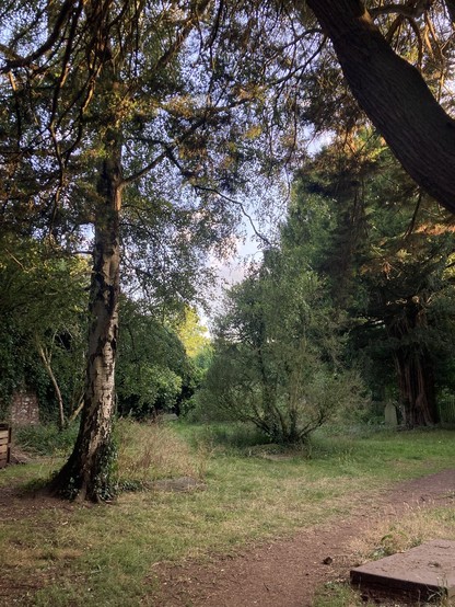 Trees, a path and a grave